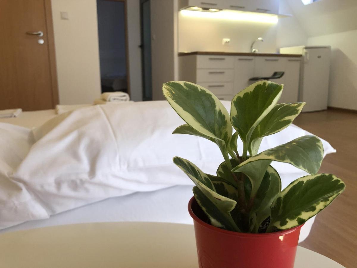 Aparthotel Elly Pomorie Buitenkant foto